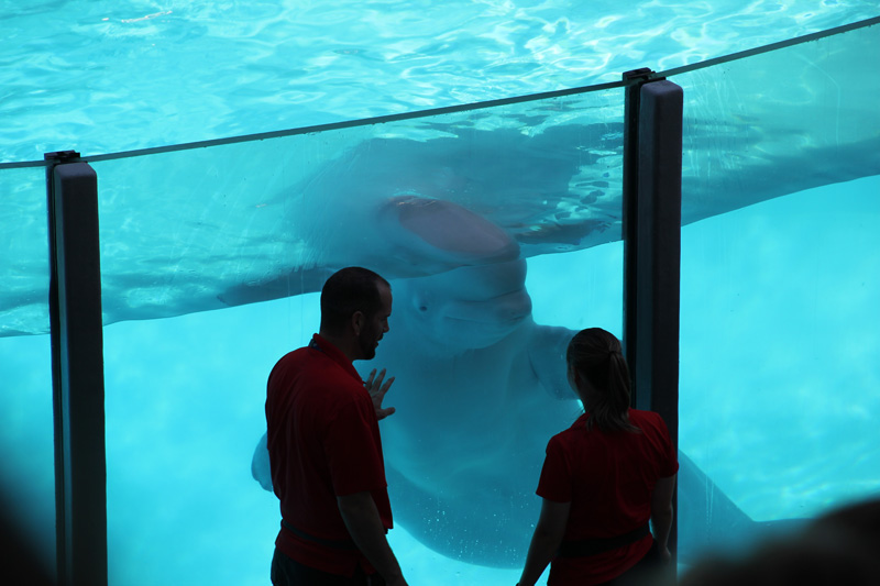 slideshow